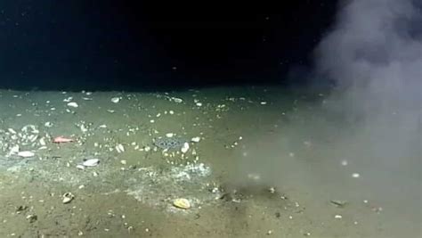 leak in pacific ocean|Strange leak spotted in Pacific Ocean floor, scientists say it